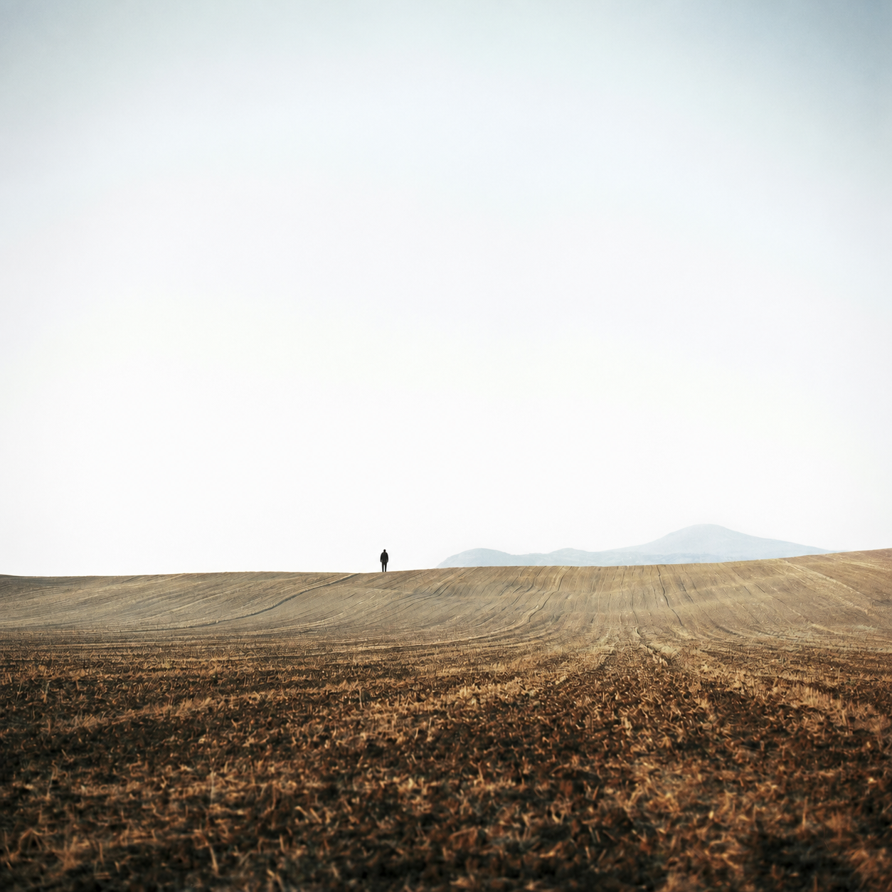 Una persona in un campo aperto